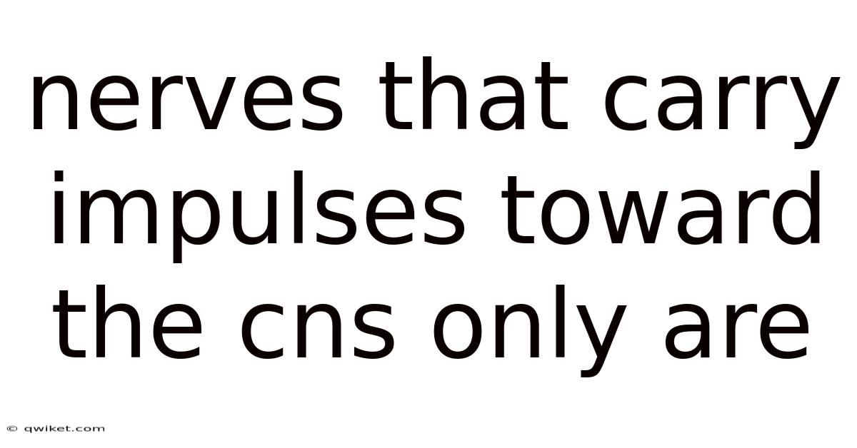 Nerves That Carry Impulses Toward The Cns Only Are