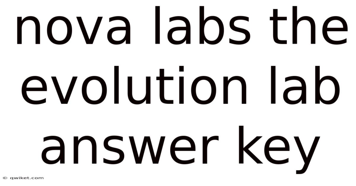 Nova Labs The Evolution Lab Answer Key