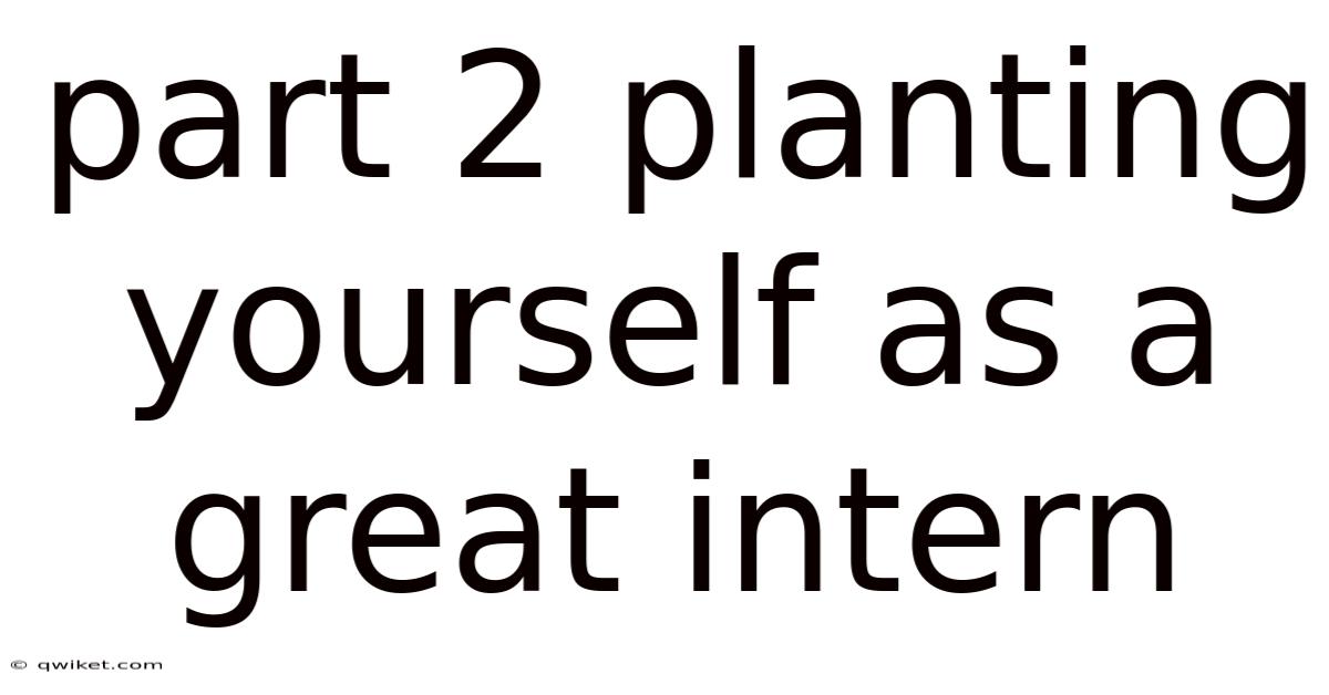 Part 2 Planting Yourself As A Great Intern
