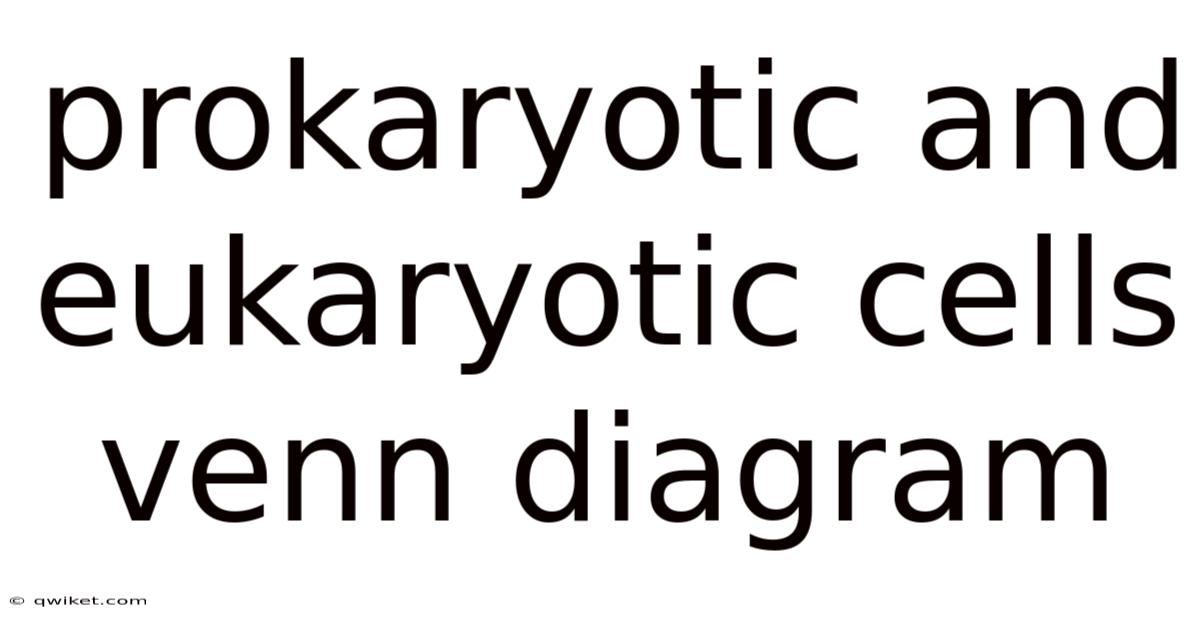Prokaryotic And Eukaryotic Cells Venn Diagram