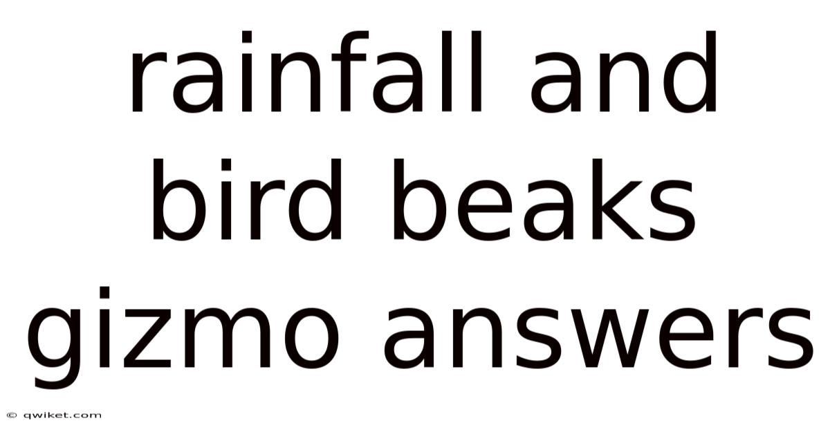 Rainfall And Bird Beaks Gizmo Answers