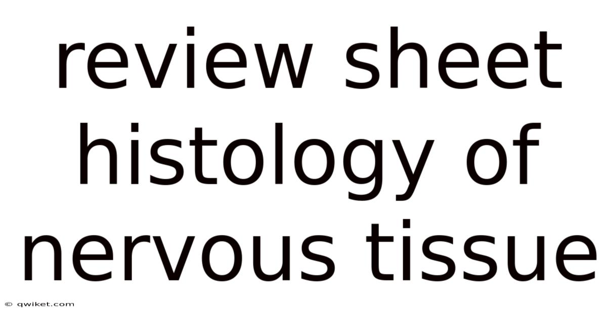 Review Sheet Histology Of Nervous Tissue