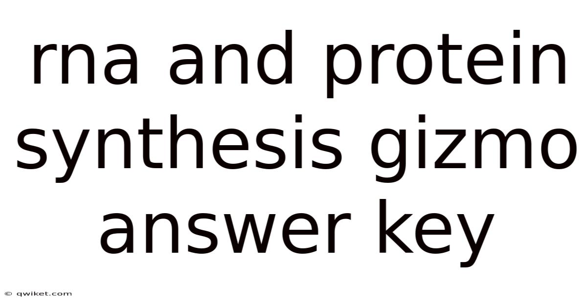 Rna And Protein Synthesis Gizmo Answer Key