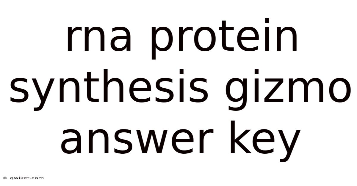 Rna Protein Synthesis Gizmo Answer Key