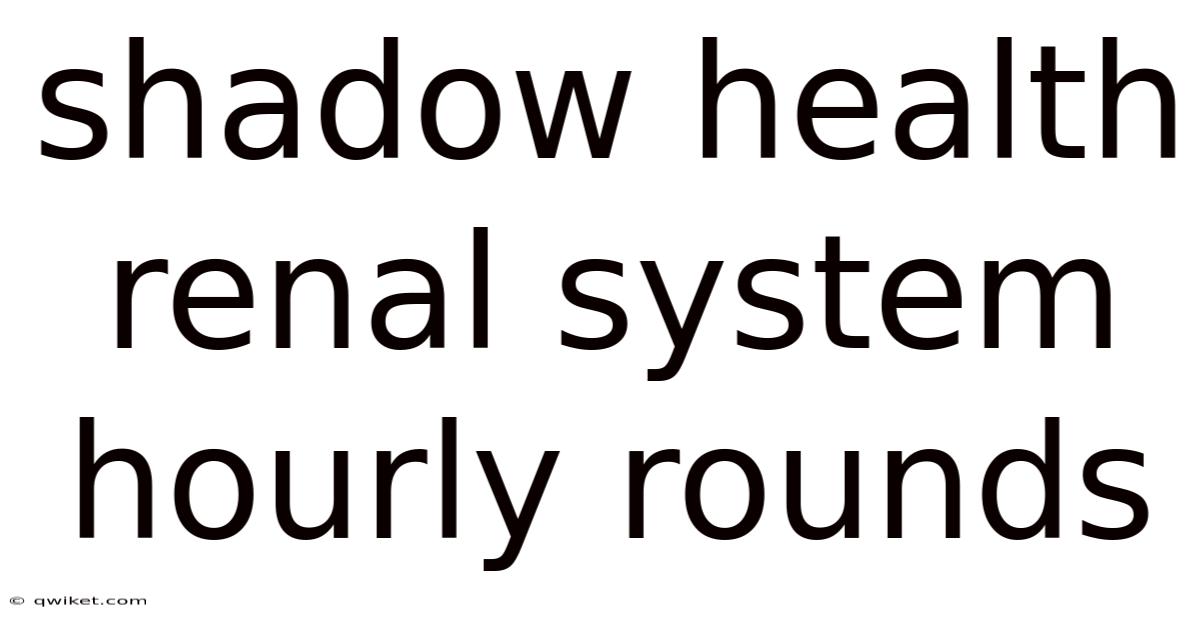 Shadow Health Renal System Hourly Rounds