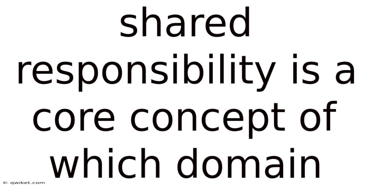 Shared Responsibility Is A Core Concept Of Which Domain