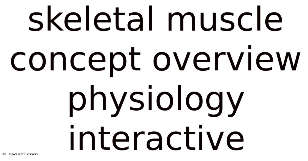 Skeletal Muscle Concept Overview Physiology Interactive