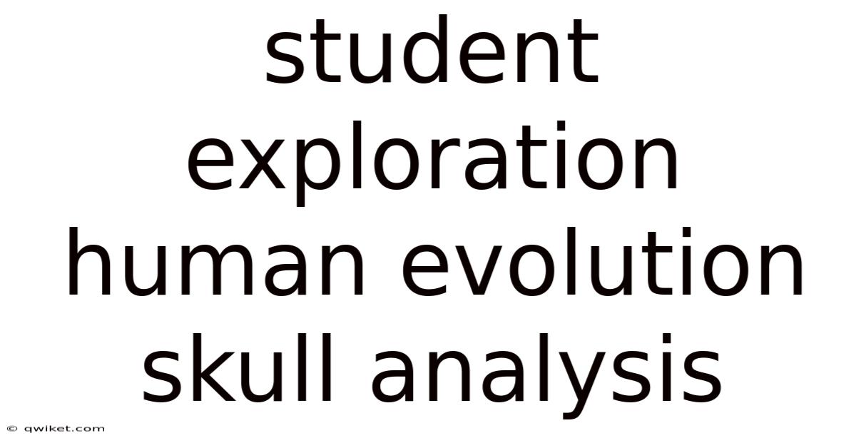 Student Exploration Human Evolution Skull Analysis