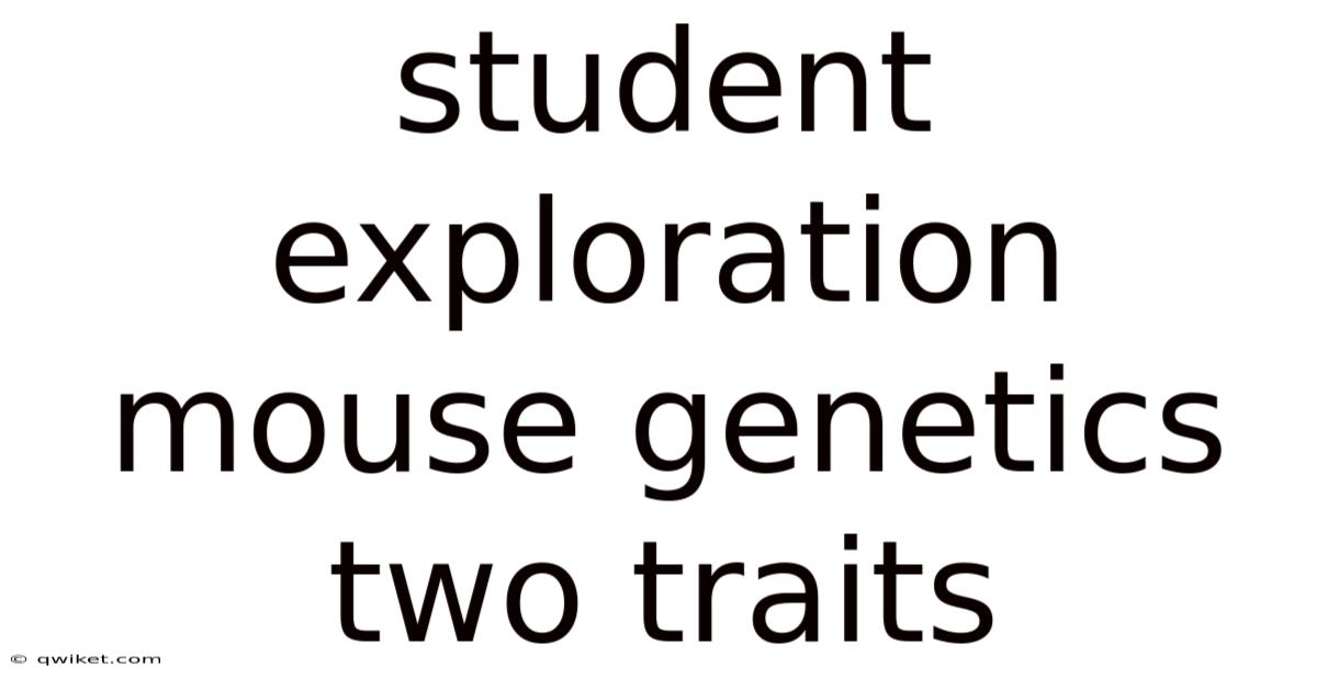 Student Exploration Mouse Genetics Two Traits