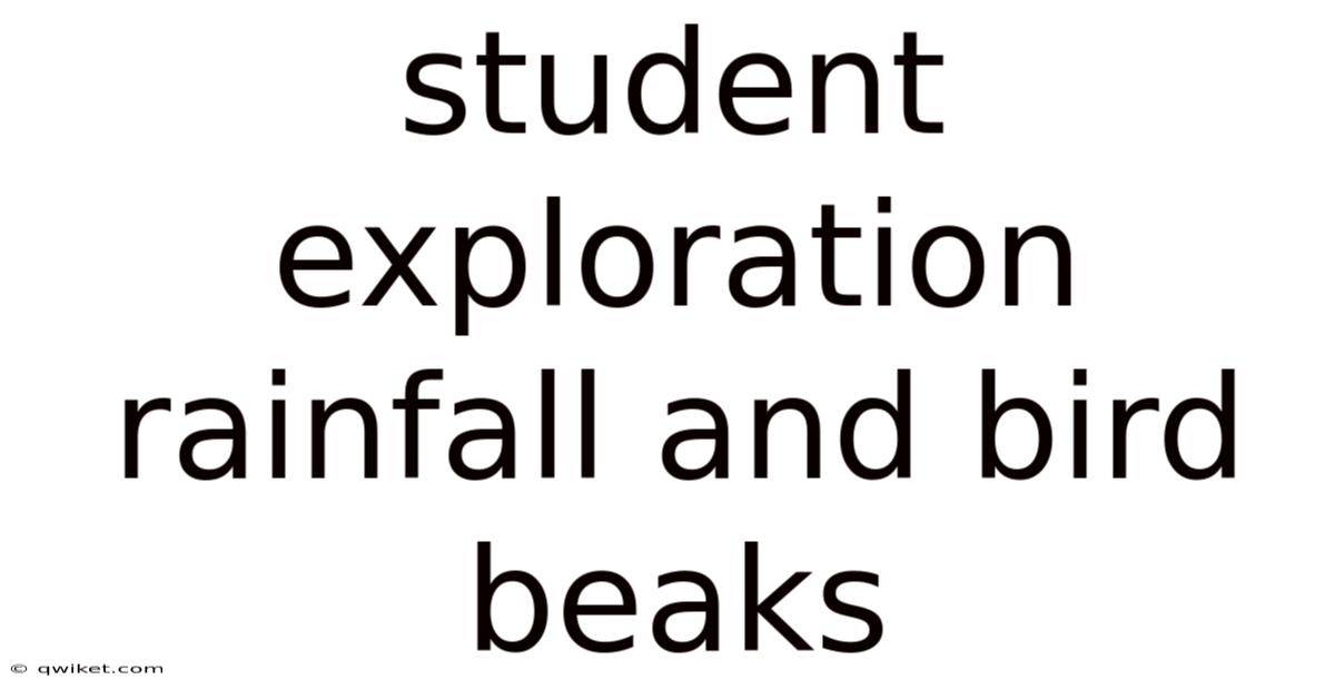 Student Exploration Rainfall And Bird Beaks