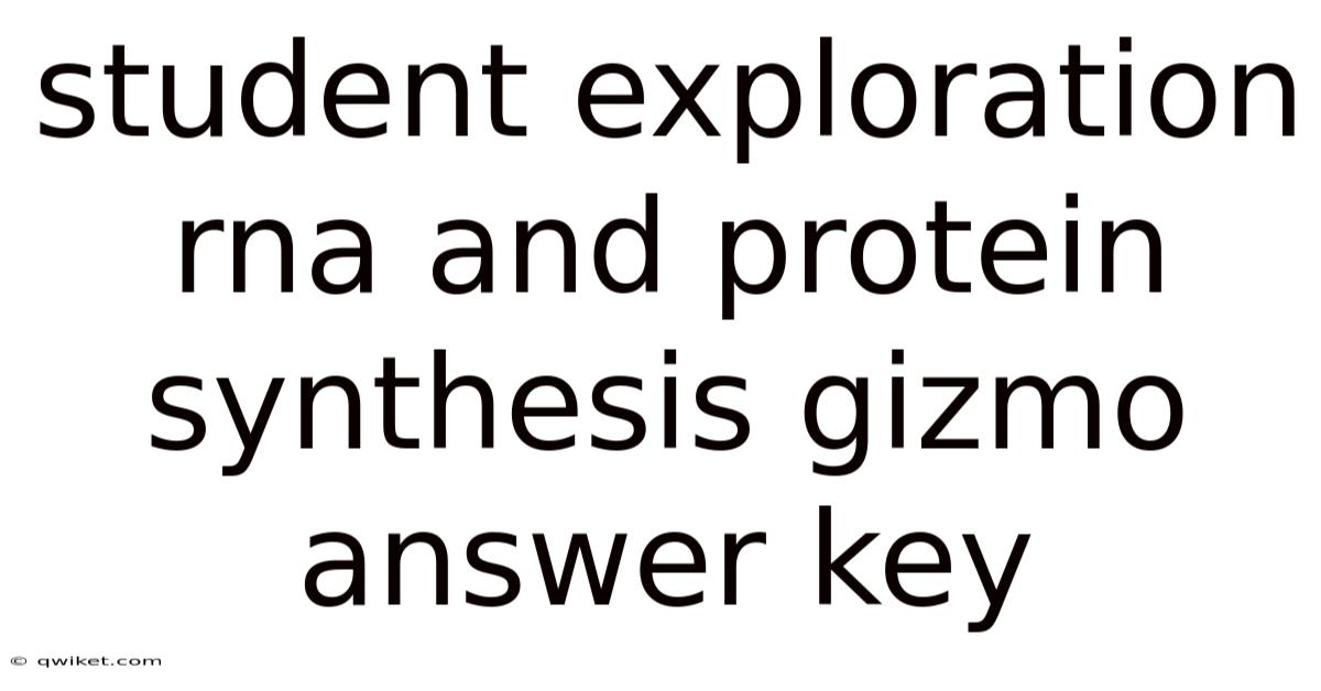 Student Exploration Rna And Protein Synthesis Gizmo Answer Key
