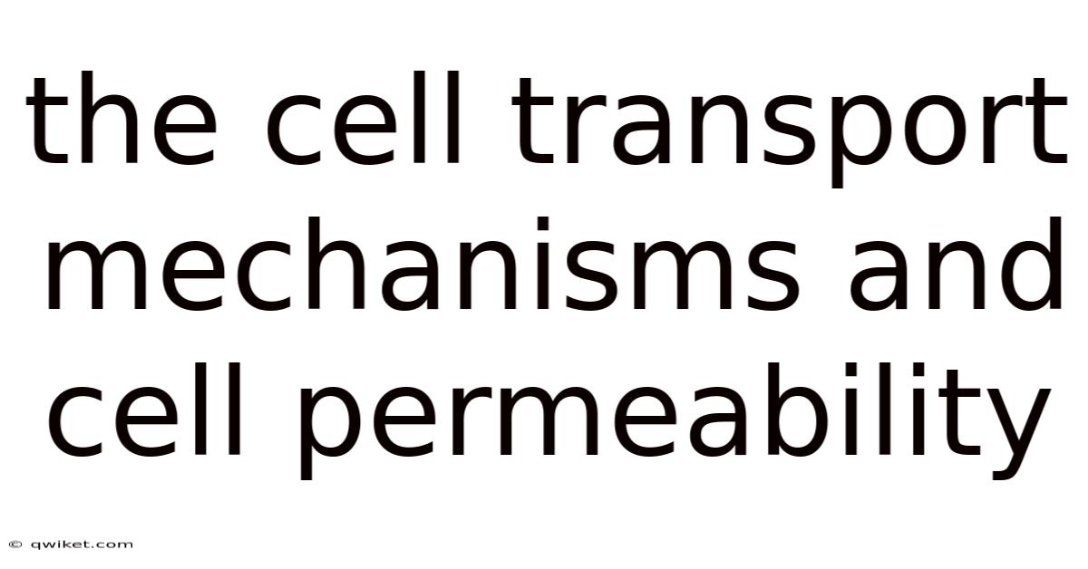 The Cell Transport Mechanisms And Cell Permeability