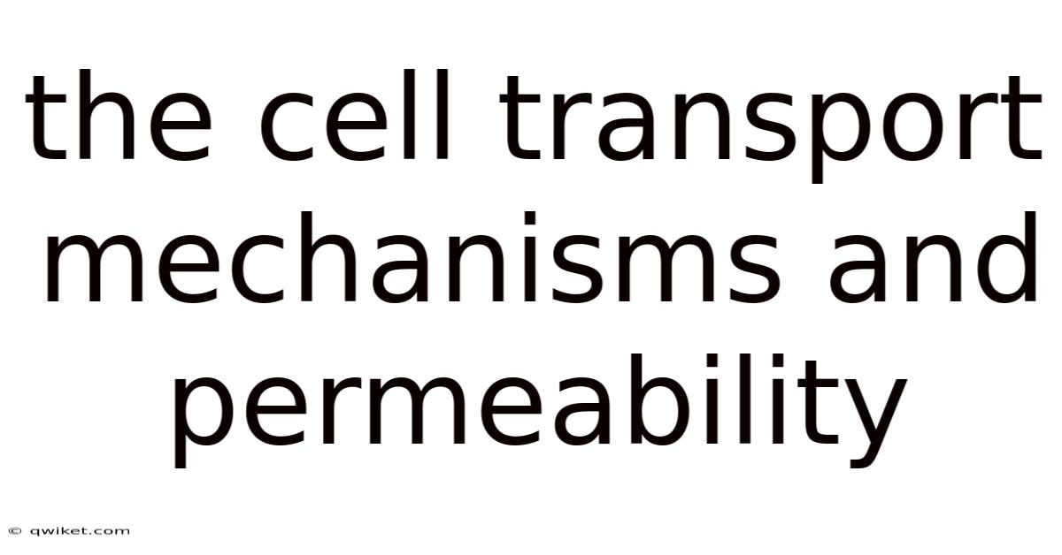 The Cell Transport Mechanisms And Permeability
