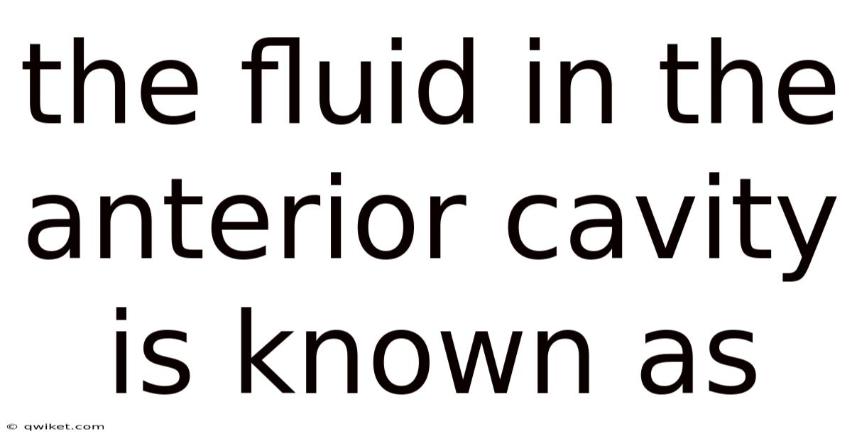 The Fluid In The Anterior Cavity Is Known As