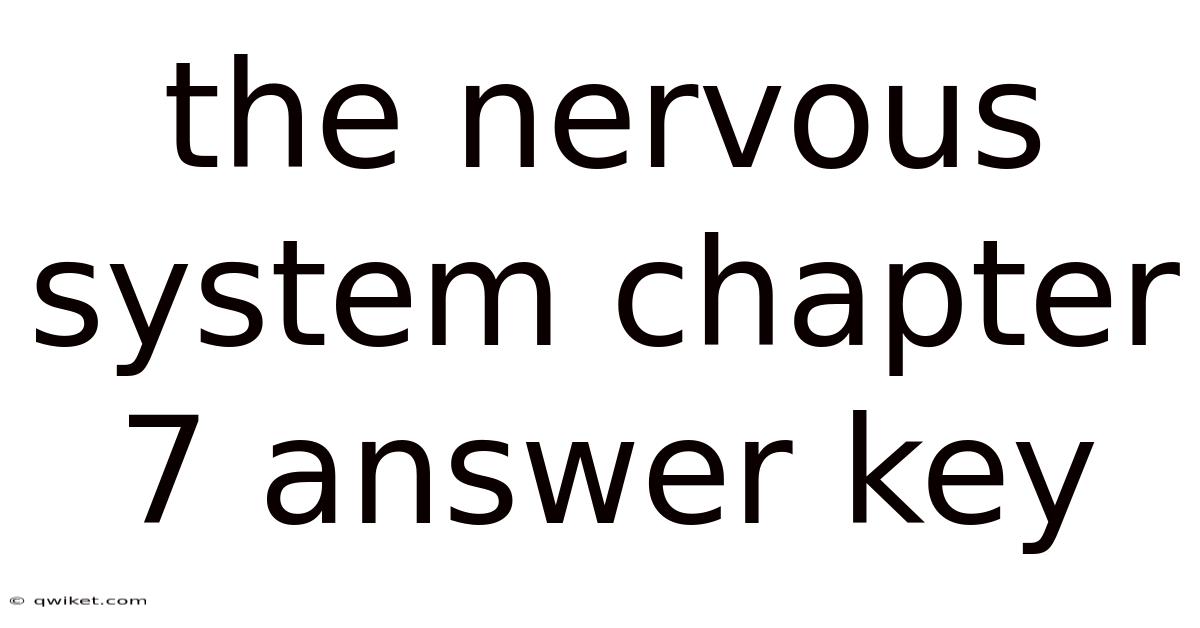 The Nervous System Chapter 7 Answer Key