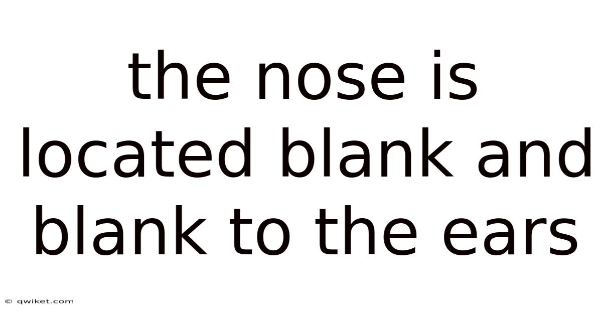 The Nose Is Located Blank And Blank To The Ears