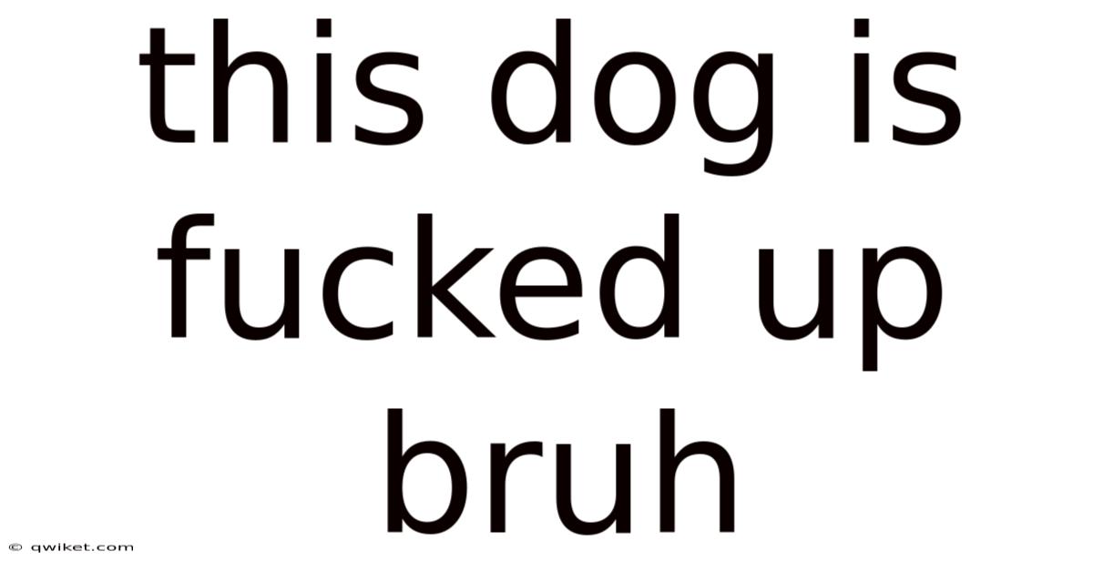 This Dog Is Fucked Up Bruh