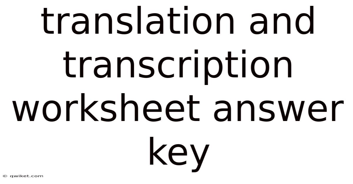 Translation And Transcription Worksheet Answer Key