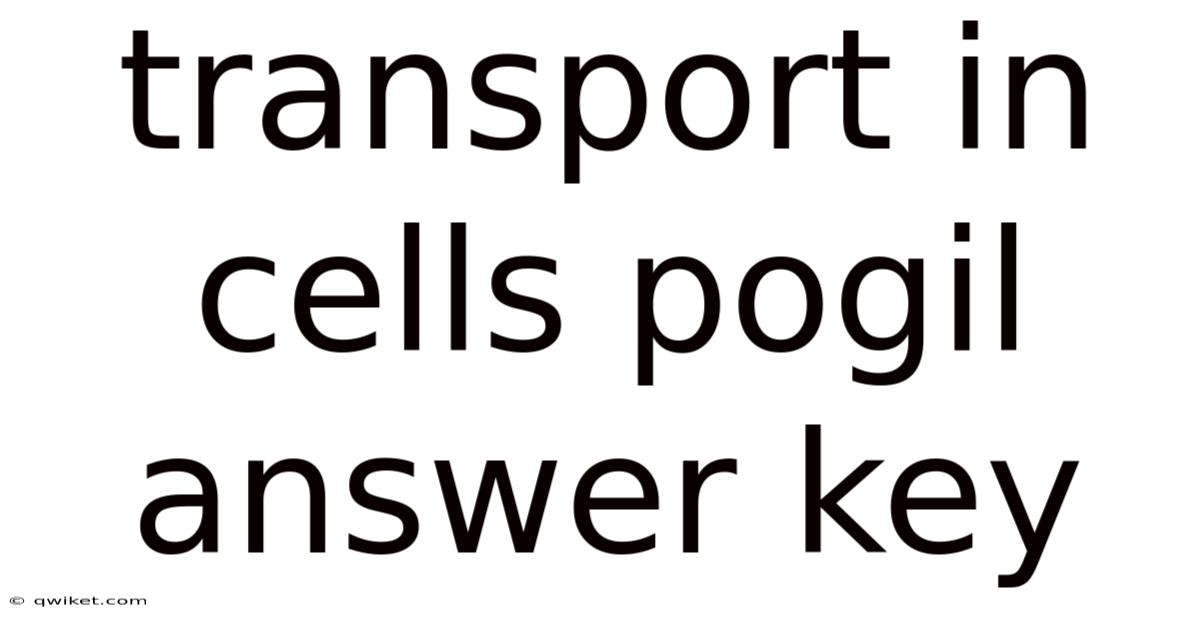 Transport In Cells Pogil Answer Key