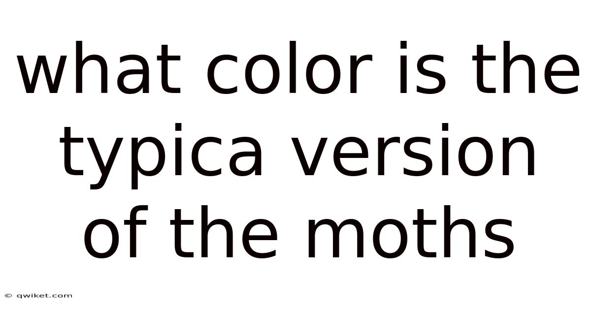 What Color Is The Typica Version Of The Moths