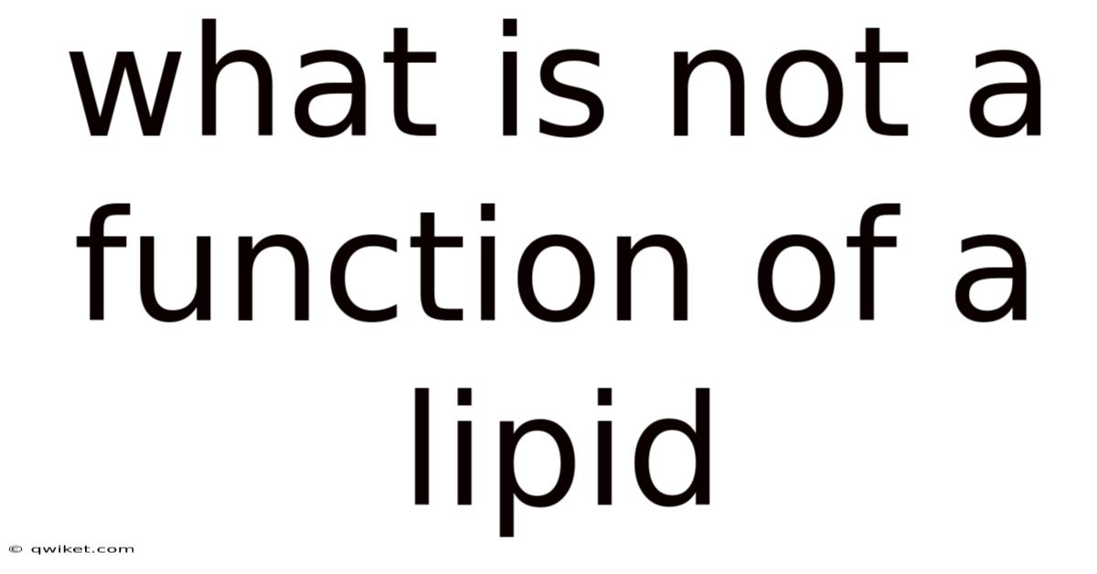 What Is Not A Function Of A Lipid
