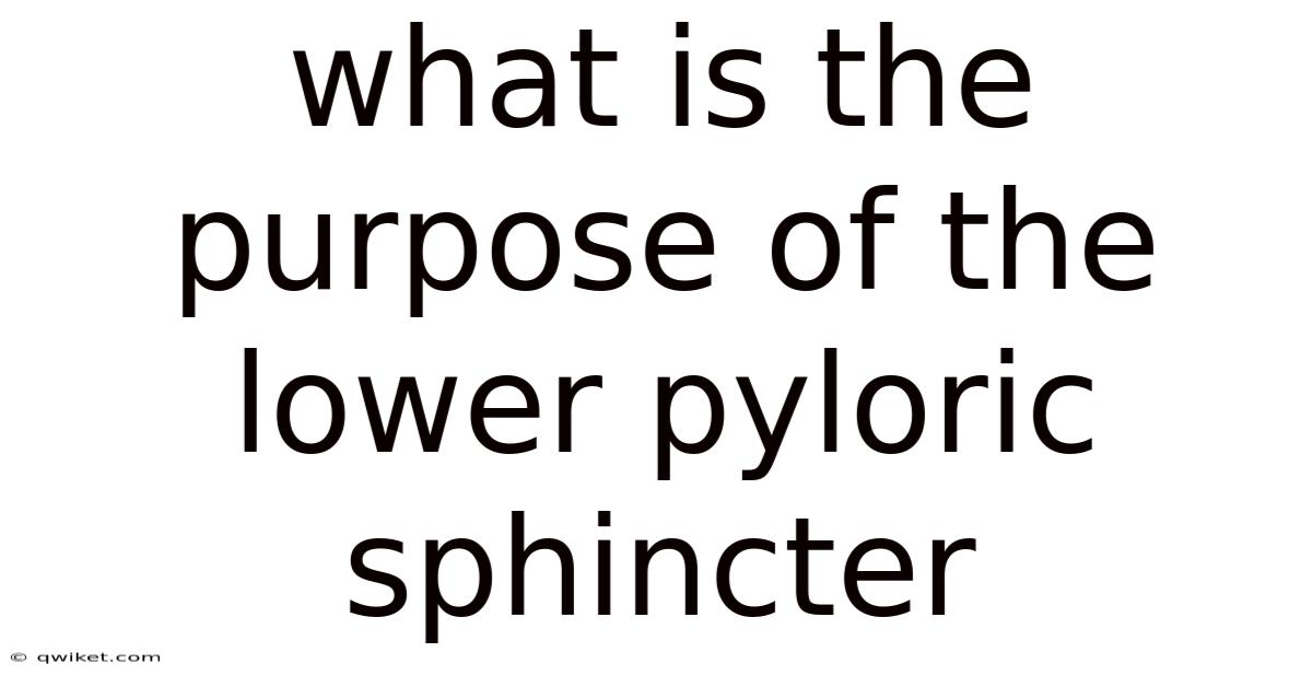 What Is The Purpose Of The Lower Pyloric Sphincter