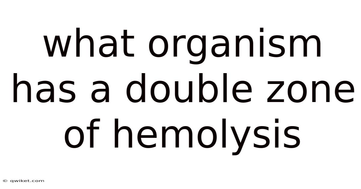 What Organism Has A Double Zone Of Hemolysis
