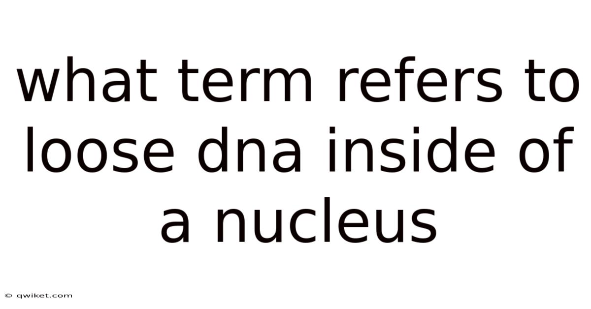 What Term Refers To Loose Dna Inside Of A Nucleus