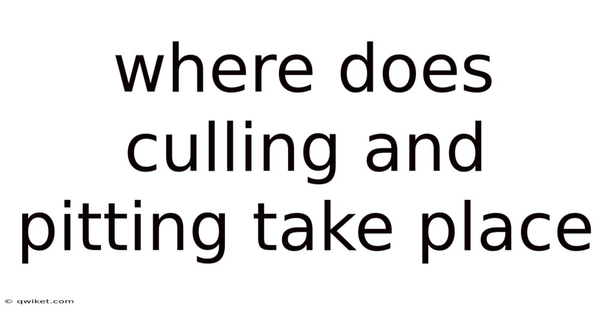 Where Does Culling And Pitting Take Place
