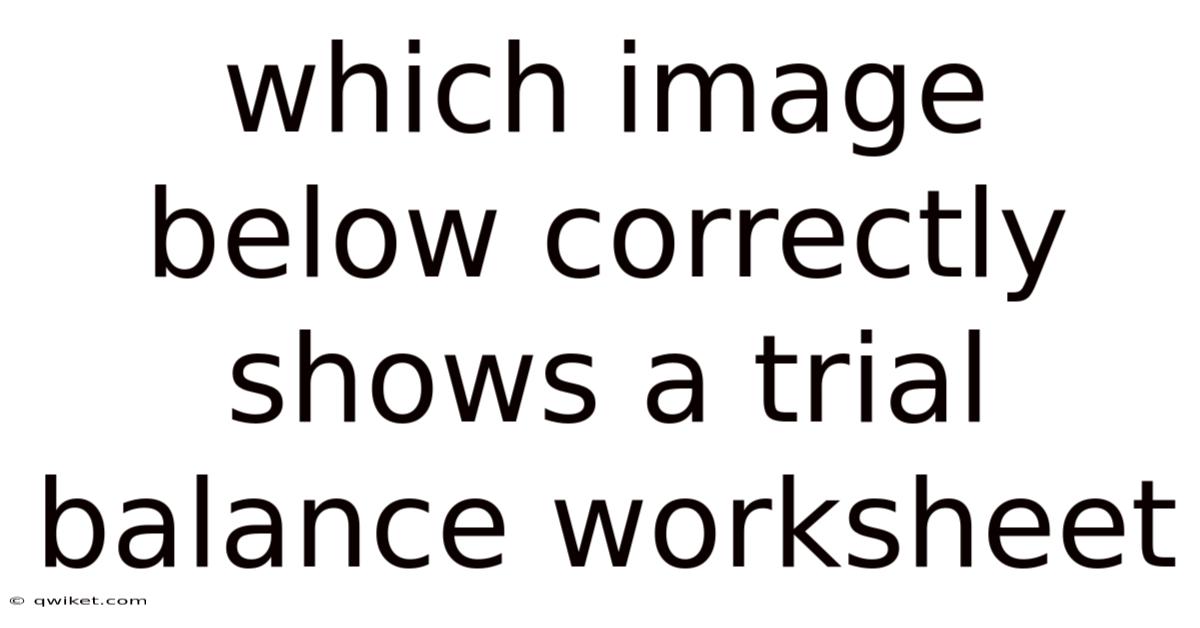 Which Image Below Correctly Shows A Trial Balance Worksheet
