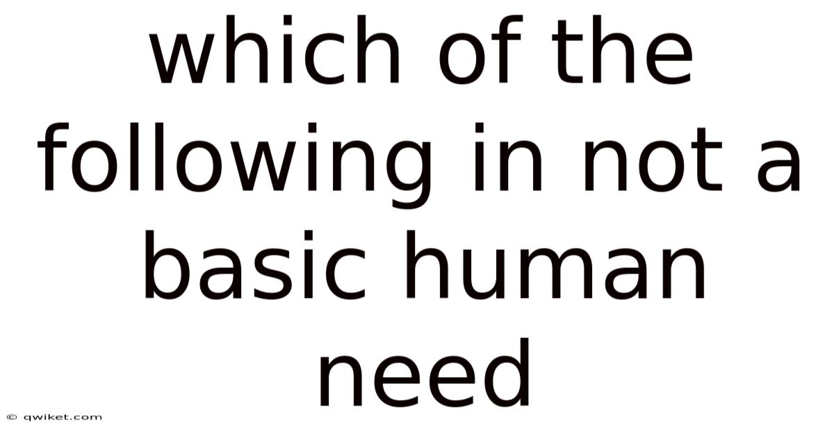 Which Of The Following In Not A Basic Human Need