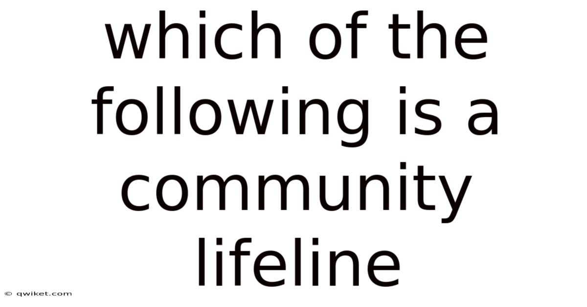 Which Of The Following Is A Community Lifeline