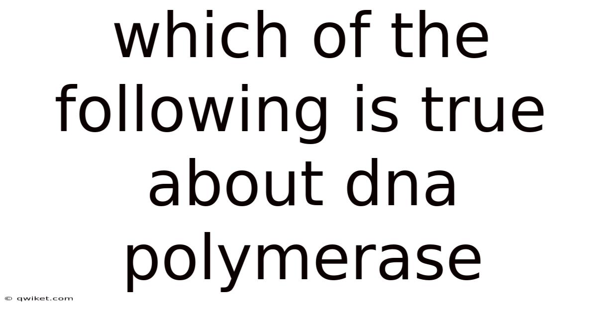 Which Of The Following Is True About Dna Polymerase