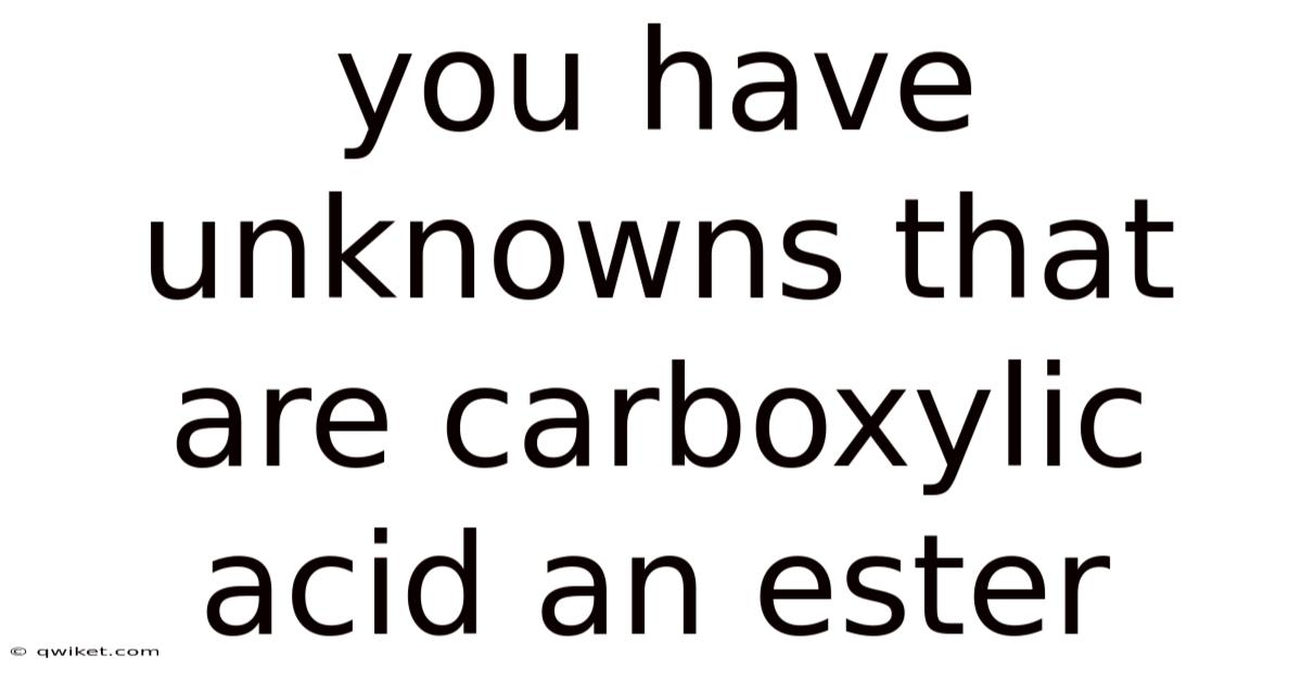 You Have Unknowns That Are Carboxylic Acid An Ester